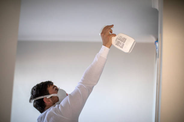 Best Mold Damage Repair  in Collinsville, CT