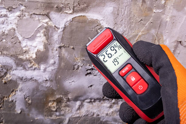 Crawl Space Mold Removal in Collinsville, CT